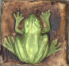 froggreen