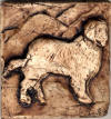 St Bernard 2 