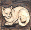 Cat Curled dark brown background