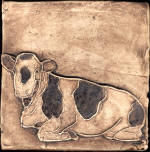 cow resting 6 x 6 100 dpi