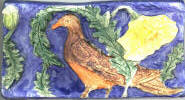 Vernuill Bird colored