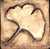 gingo leaf 2