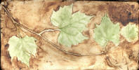 Grape Leaves from Yard (green)