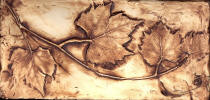 grape leaves yard