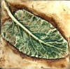 3 inch elephant ear leaf
