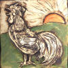 rooster  orange sun
