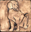St. Bernard
