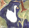swan