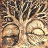 tree brown